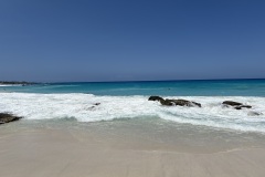 IMG_8703