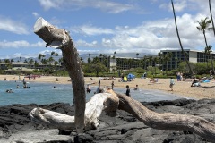 A-Bay Beach