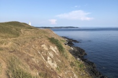 southwest coastline of San Juan Island
