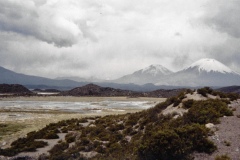 Chilean altiplano